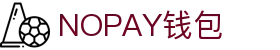 NOPAY钱包 - 数字钱包支付平台|安全便捷的移动支付
